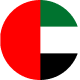 UAE Flag